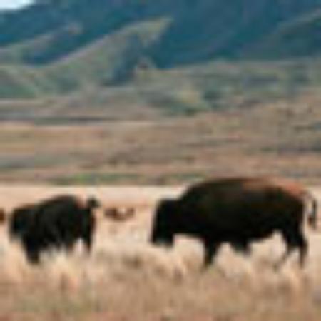 TG Dom Restauracyjny Pałacowa Spizarnia